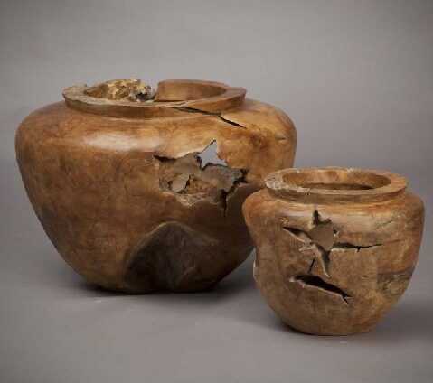 ואזה שורש טיק 1 ואזה שורש טיק